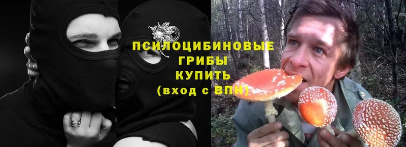 мориарти телеграм  ОМГ ОМГ tor  Псилоцибиновые грибы Magic Shrooms  Беломорск  магазин  наркотиков 