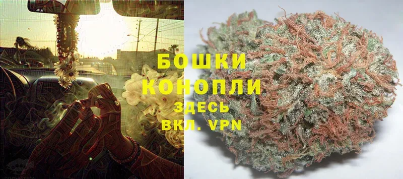 наркошоп  Беломорск  МАРИХУАНА Ganja 